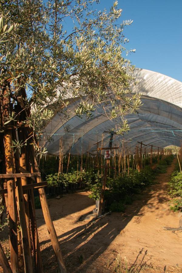 Quinta De Santana Da Varzea Abrantes Exterior foto