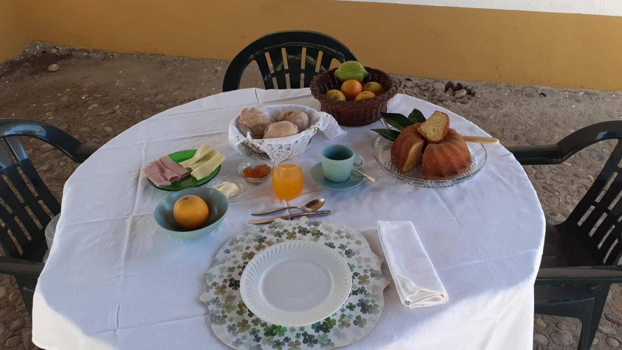 Quinta De Santana Da Varzea Abrantes Exterior foto