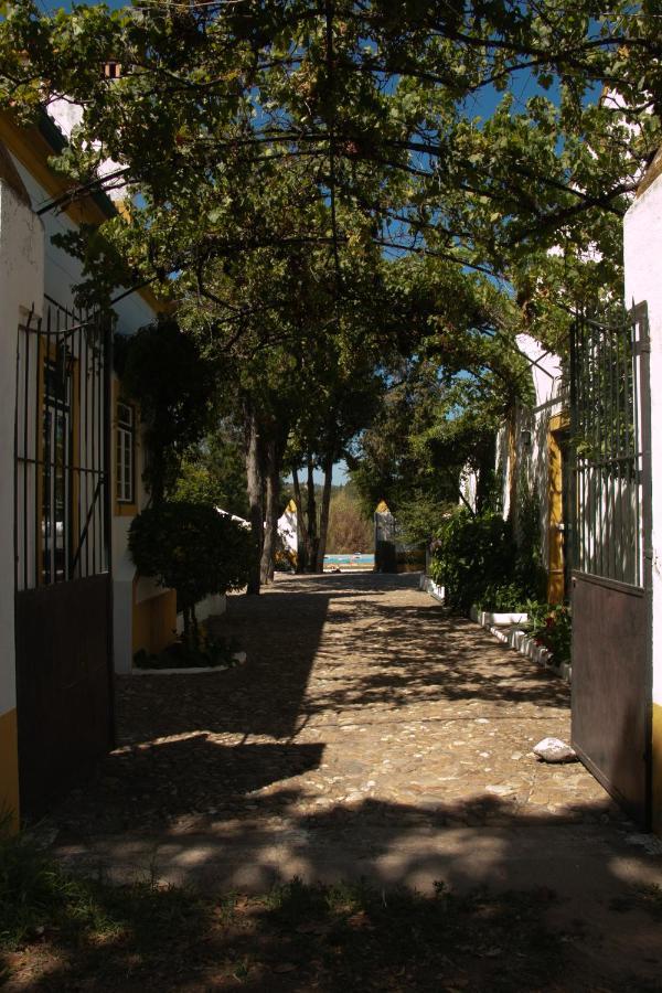 Quinta De Santana Da Varzea Abrantes Exterior foto
