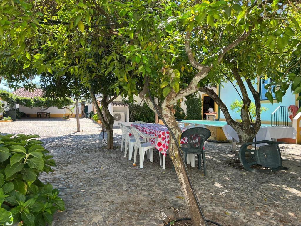 Quinta De Santana Da Varzea Abrantes Exterior foto