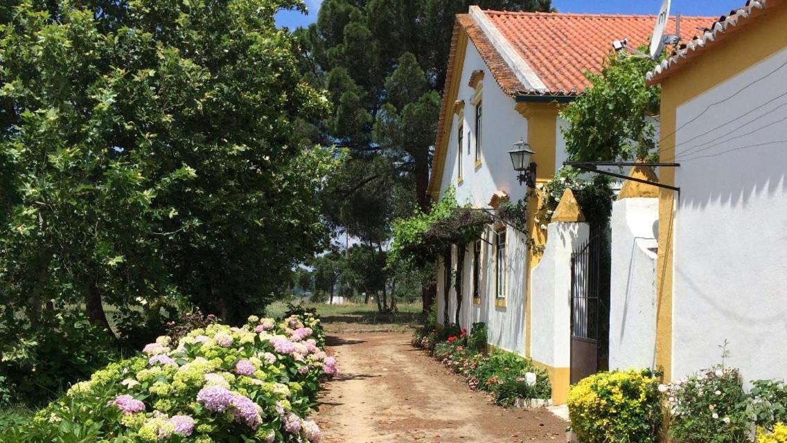 Quinta De Santana Da Varzea Abrantes Exterior foto